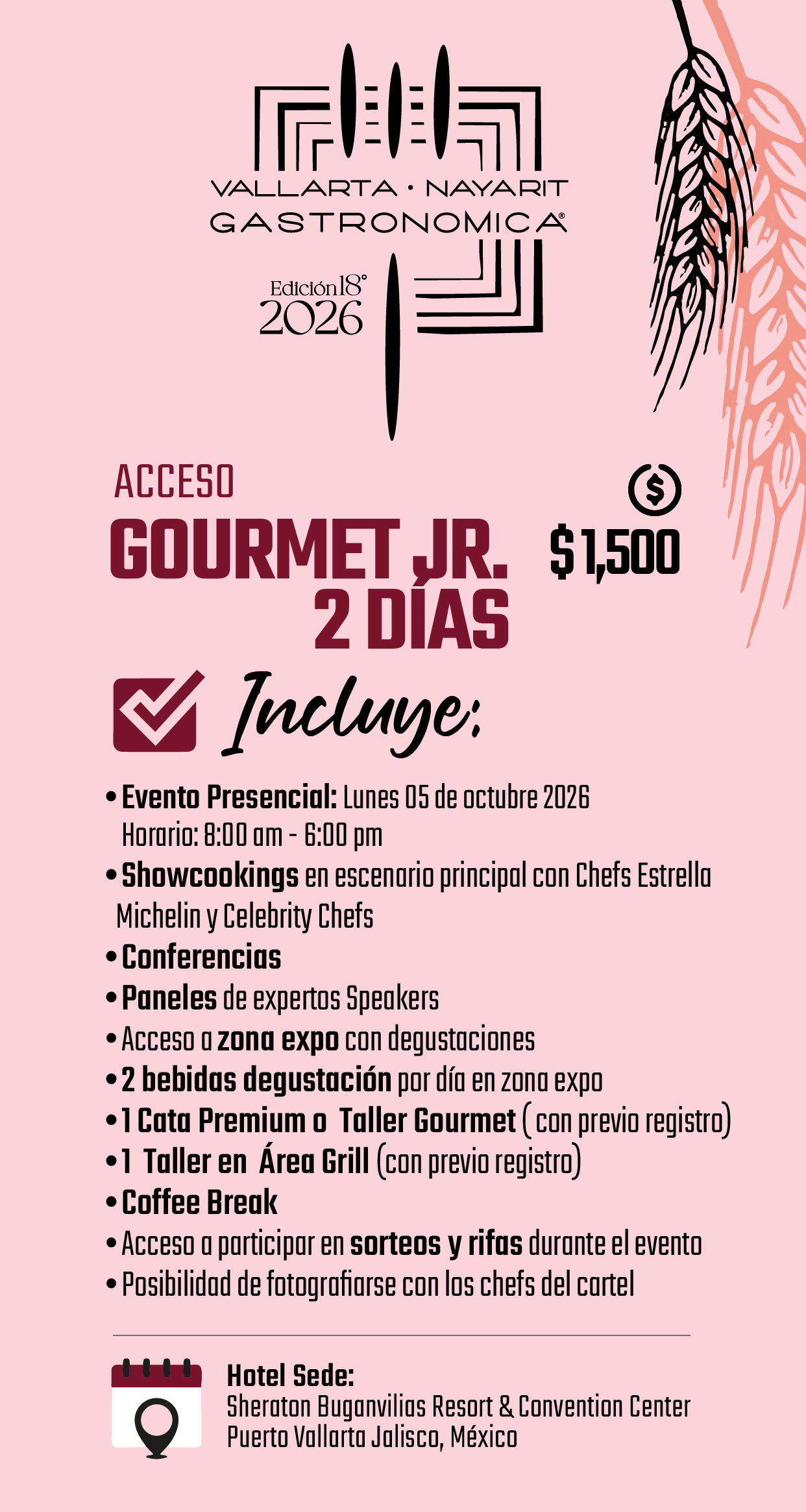 Boleto Junior de Vallarta Nayarit Gastronómica 2026