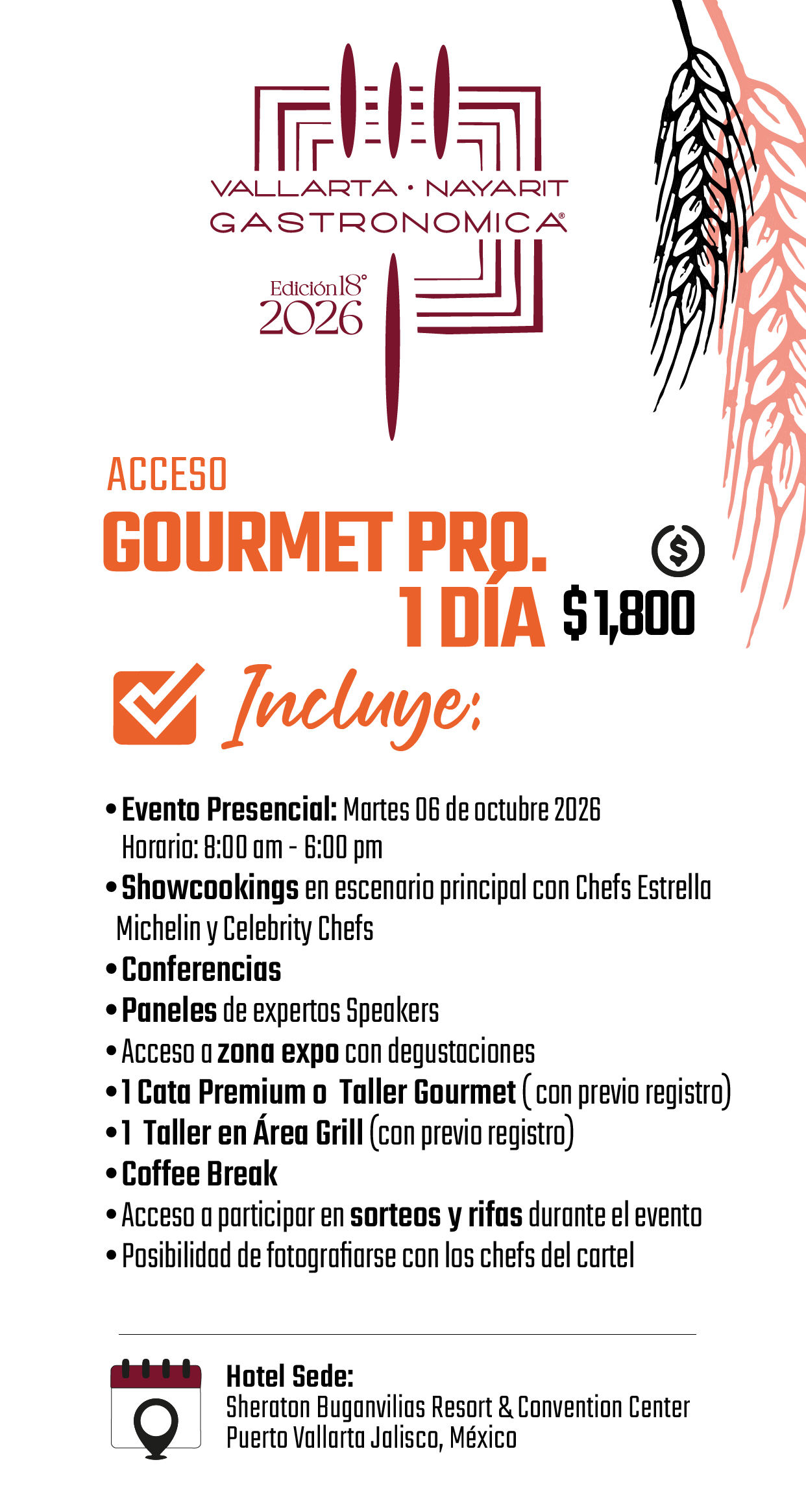 Boleto Junior de Vallarta Nayarit Gastronómica 2026