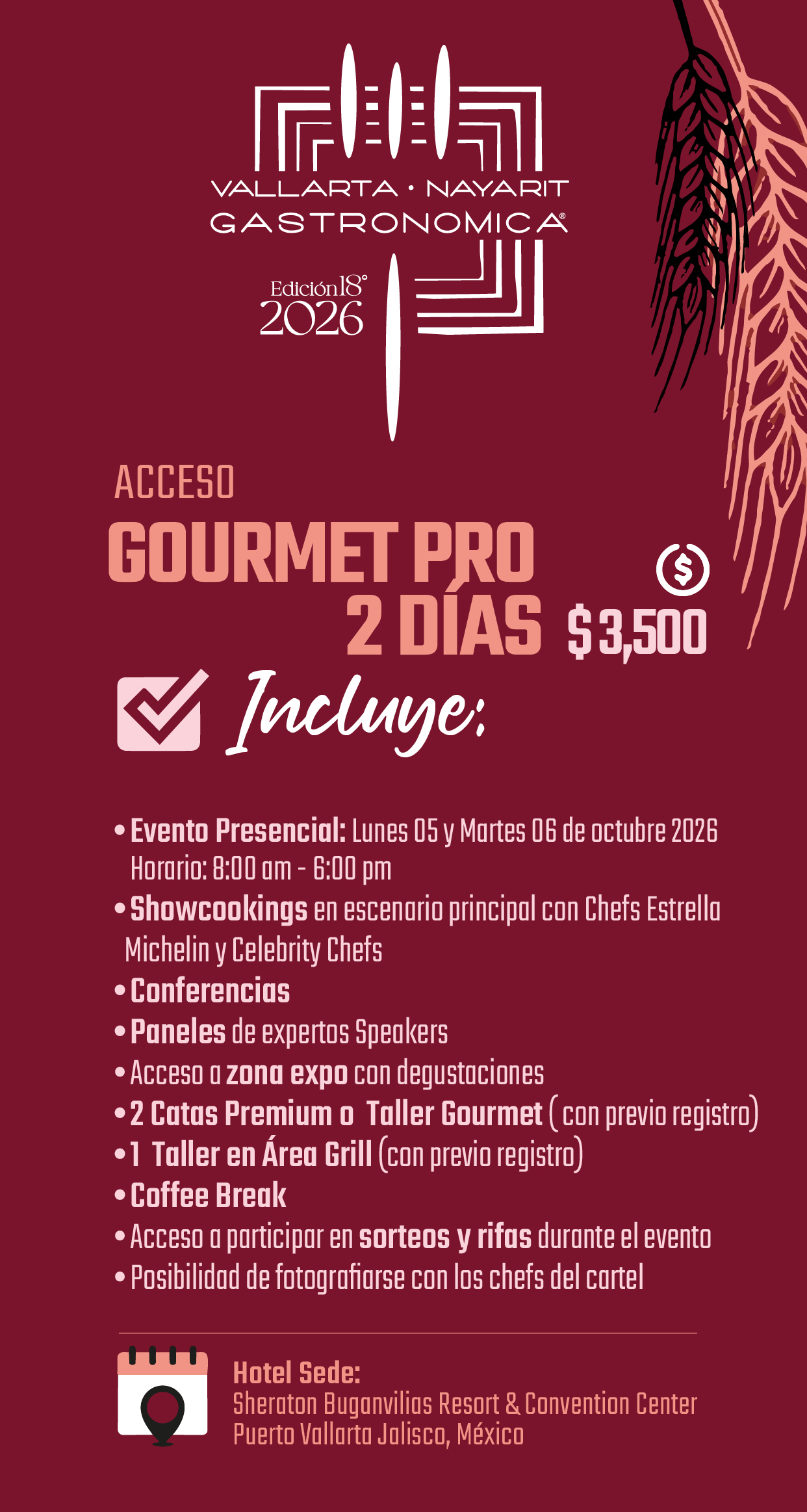 Boleto Junior de Vallarta Nayarit Gastronómica 2026